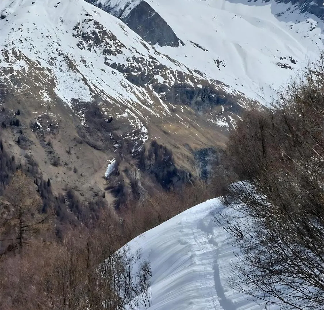 Studio Skis Aux Pieds Peisey-Nancroix Apartment